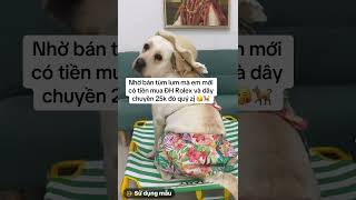 Cái này khi Lu còn huy hoàng nha quý zị 🤣🤣🤣🐕 [upl. by Llehsal672]