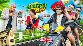 सागरेको घर quotSagare Ko Ghar”Episode 147॥New nepali Comedy Serial॥By Sagar pandey॥june 2 2024॥ [upl. by Romaine616]