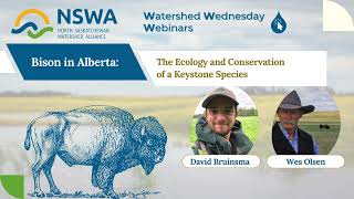 October Webinar  Bison in Alberta with Wes Olsen amp David Bruinsma [upl. by Tayler]