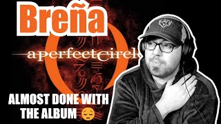 I DONT WANT THIS ALBUM TO END A PERFECT CIRCLE quotBreñaquot  REACTION [upl. by Arndt]