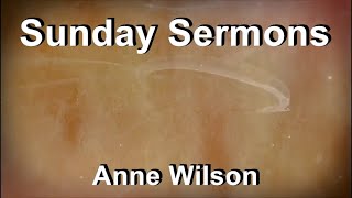 Sunday Sermons  Anne Wilson Lyrics [upl. by Ardnas]