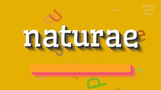 NATURAE  HOW TO PRONOUNCE NATURAE naturae [upl. by Jankell114]