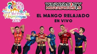 El Mango Relajado En Vivo Wapayasos [upl. by Leahsim469]