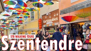 Wander Through The Szentendre Summer Festival With This Guided Tour [upl. by Raffo]