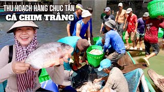 Nhộn nhịp Ghe hơn chục Tấn Cá Chim trắng vào bờ và bữa cơm đặc biệt dưới Gầm Cầu  SONG HỶ VLOG 756 [upl. by Lorens751]