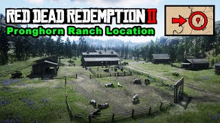 Pronghorn Ranch location  Red Dead Redemption 2 [upl. by Ellehcen]