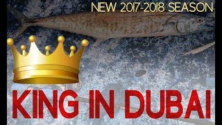 JIGHEAD TV KING IN DUBAI  NEW 20172018 Season [upl. by Pugh]