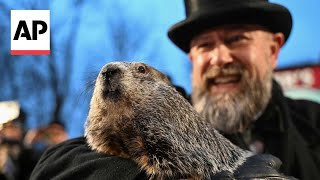 Groundhog Day 2024 Punxsutawney Phil predicts an early spring [upl. by Brote]