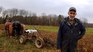 A Young Man amp His Old Plow  Draft Horses Plowing a Field 556 [upl. by Joachim753]