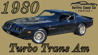 1980 Pontiac Trans Am Turbo 49 liter 301 V8 for sale Bandit Survivor Classic Cars Muscle Car [upl. by Kirsch]