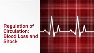 Regulation of Circulation Blood Loss and Shock [upl. by Oterol612]