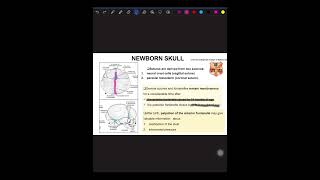 Embryology lec I [upl. by Felicle]