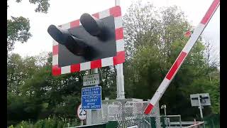 Lodge Farm Level Crossing Cornwall [upl. by Robbin]