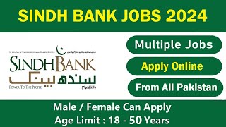 Sindh Bank Jobs 2024  Online Apply  Social Circle [upl. by Niliak]