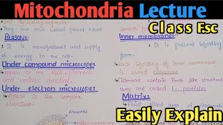 Mitochondria Structure And Functions  Powerhouse  Class 11 Biology [upl. by Vallo]