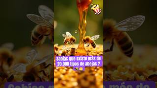 Sin abejas este mundo no sería igual abejas datoscuriosos miel curiosidades animales natural [upl. by Stoll949]