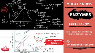 MDCAT  NUMS  Enzymes  Lecture02 [upl. by Nnaoj]