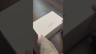 unboxing cuyana small easy zipper tote in ecru  what fits [upl. by Airalav]