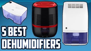 5 Best Dehumidifiers [upl. by Neeoma]