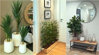 Modern Indoor plants Decoration Ideas 2023 Living Room Design Trends Home Interior Decorating Ideas [upl. by Nyllaf]