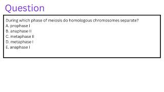 During which phase of meiosis do homologous chromosomes separate [upl. by Tildie730]