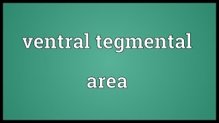 Ventral tegmental area Meaning [upl. by Nuahsyt]