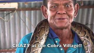 King Cobra Village  Khon Kaen Thailand [upl. by Aldo]