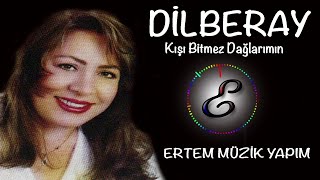 Dilber Ay  Kışı Bitmez Dağlarımın [upl. by Sixele292]