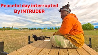 Peaceful Van life day Interrupted by Intruder [upl. by Kathleen227]