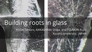 Building Root in Glass [upl. by Astrix]