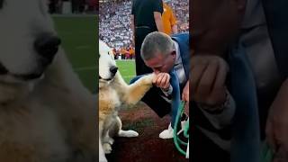 Kirk Herbstreit Speaks About Late Dog Ben During Alabama vs LSU football dog ben goldenretriever [upl. by Leynad]