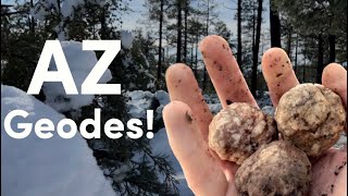 Exploring Geode Hill in Winter  Rockhounding Near Phoenix [upl. by Weil]