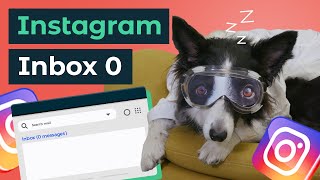 How to set up Instagram auto reply messages and take a dognap [upl. by Wallinga499]