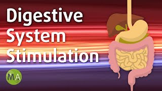 Digestive System Stimulation with Isochronic Tones Stimulate Digestion [upl. by Yarised]