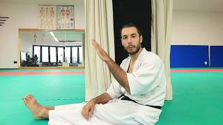 KARATE 🥋  CALCI E TECNICHE DI GAMBA [upl. by Laved]