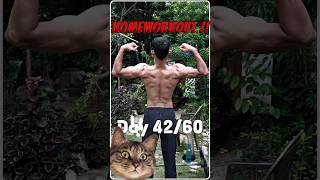 Day 4260 Ultimate Home Back Workout for Gains  Weighted Pullups amp Barbell Row [upl. by Eznyl]