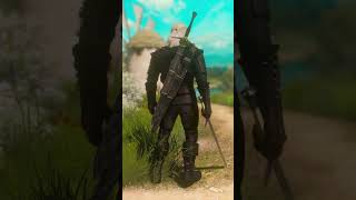 Coolest Armor Mods  Witcher 3 [upl. by Khan]