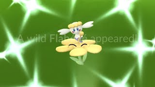 Shiny Flabébé amp Cottonee Hunt [upl. by Riella]