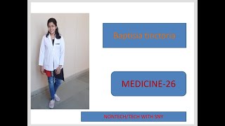 Baptisia tinctoriaHomeopathy Medicinein hindi By Premwati Yadav [upl. by Uyekawa]