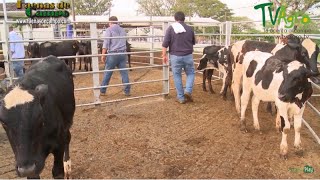 Feria Agroindustrial del Eje Cafetero Cartago Feb 2016  TvAgro por Juan Gonzalo Angel [upl. by Abas]