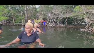 CHACACHACARE SALT LAKEPOND TRINIDAD 🇹🇹 [upl. by Silvestro]