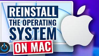 How To Reinstall macOS On ANY Mac [upl. by Zales]