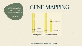 Gene mapping  CBMP26 [upl. by Thedrick707]