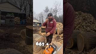 We Broke the Chain stihl chainsaw [upl. by Lynd770]