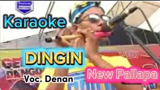 DINGIN Karaoke New Pallapa cowok [upl. by Archibald502]