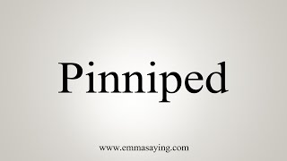 How To Say Pinniped [upl. by Zebadiah]