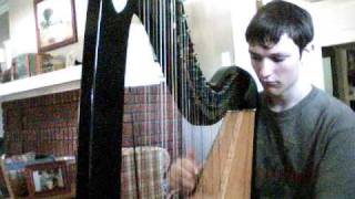 quotThe Stolen Childquot by Loreena Mckennitt on Harp [upl. by Boyes]