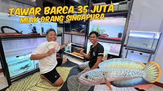 NEKAT KE SINGAPURA TAWAR BARCA 35 JUTA PEMILIKNYA KAGET [upl. by Nahor]