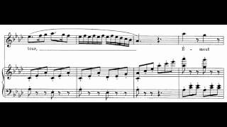 Les oiseaux dans la charmille Les Contes DHoffmann  J Offenbach Score Animation [upl. by Gnous]