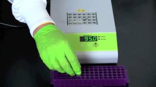 Alu PV92 Detection by PCR [upl. by Yregerg]